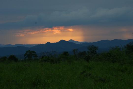 Udawalawe National park