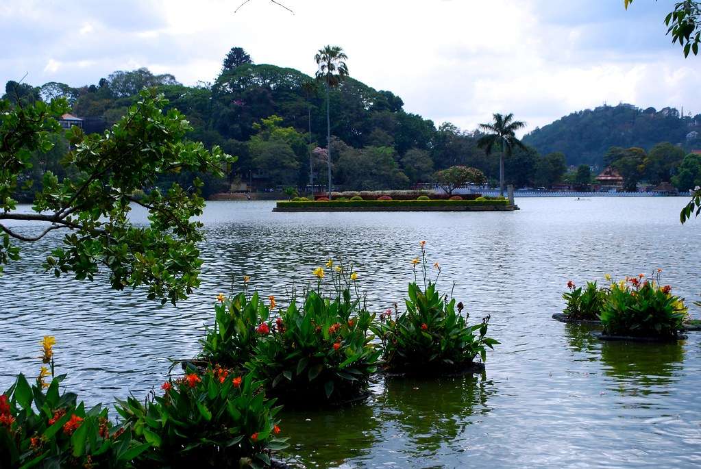 Kandy Lake 