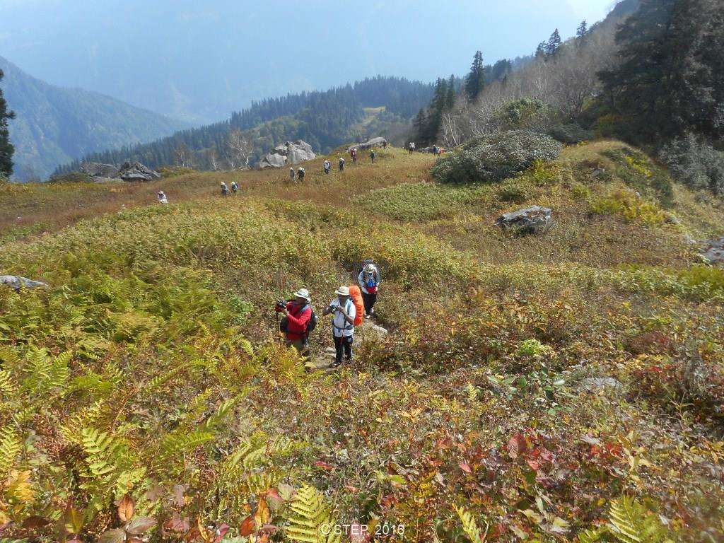 Bara Bhangal Trek, Himachal Pradesh | Book Now @ 14% off