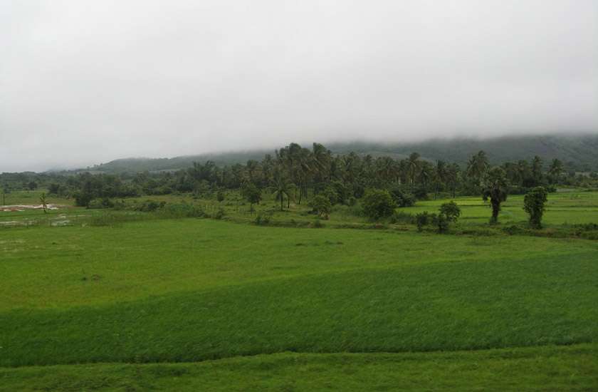 Palakkad
