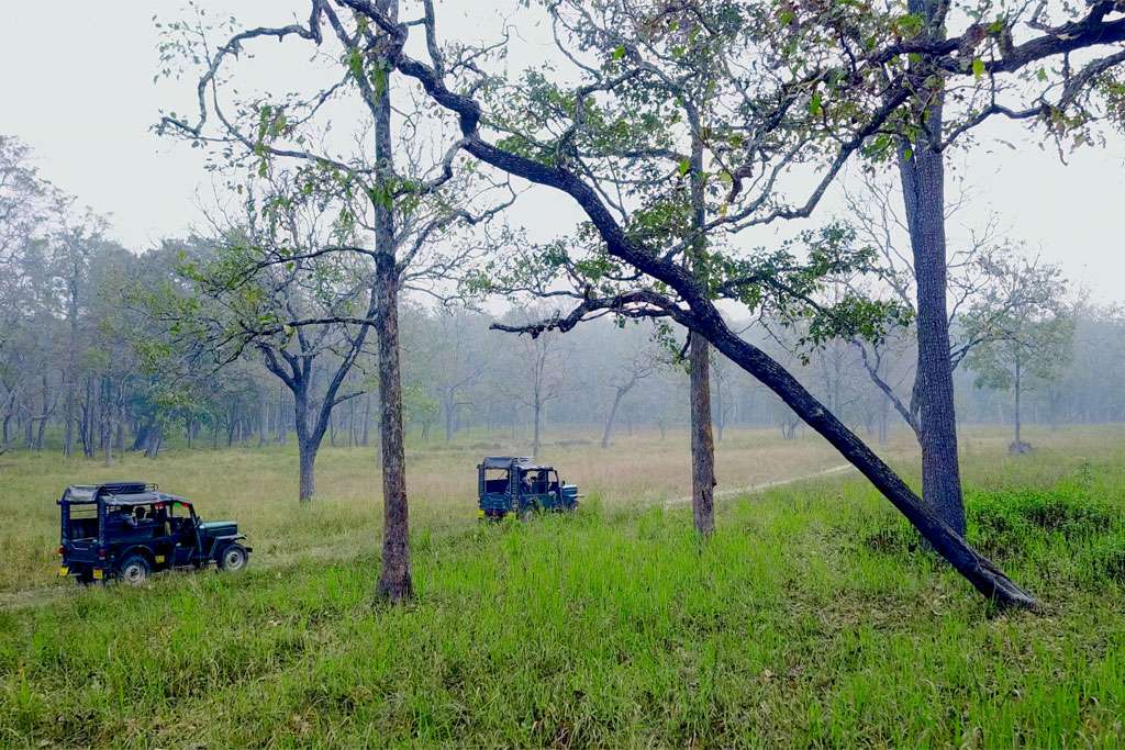 Muthanga Wildlife Safari, Wayanad | Get 25% off