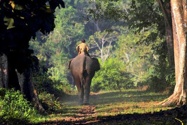 North East Wildlife Tour of India