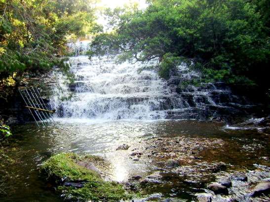 Pambar Falls Trekking, Kodaikanal