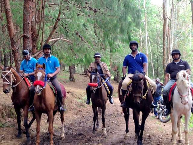 Horse Trip Through Rural Mysore