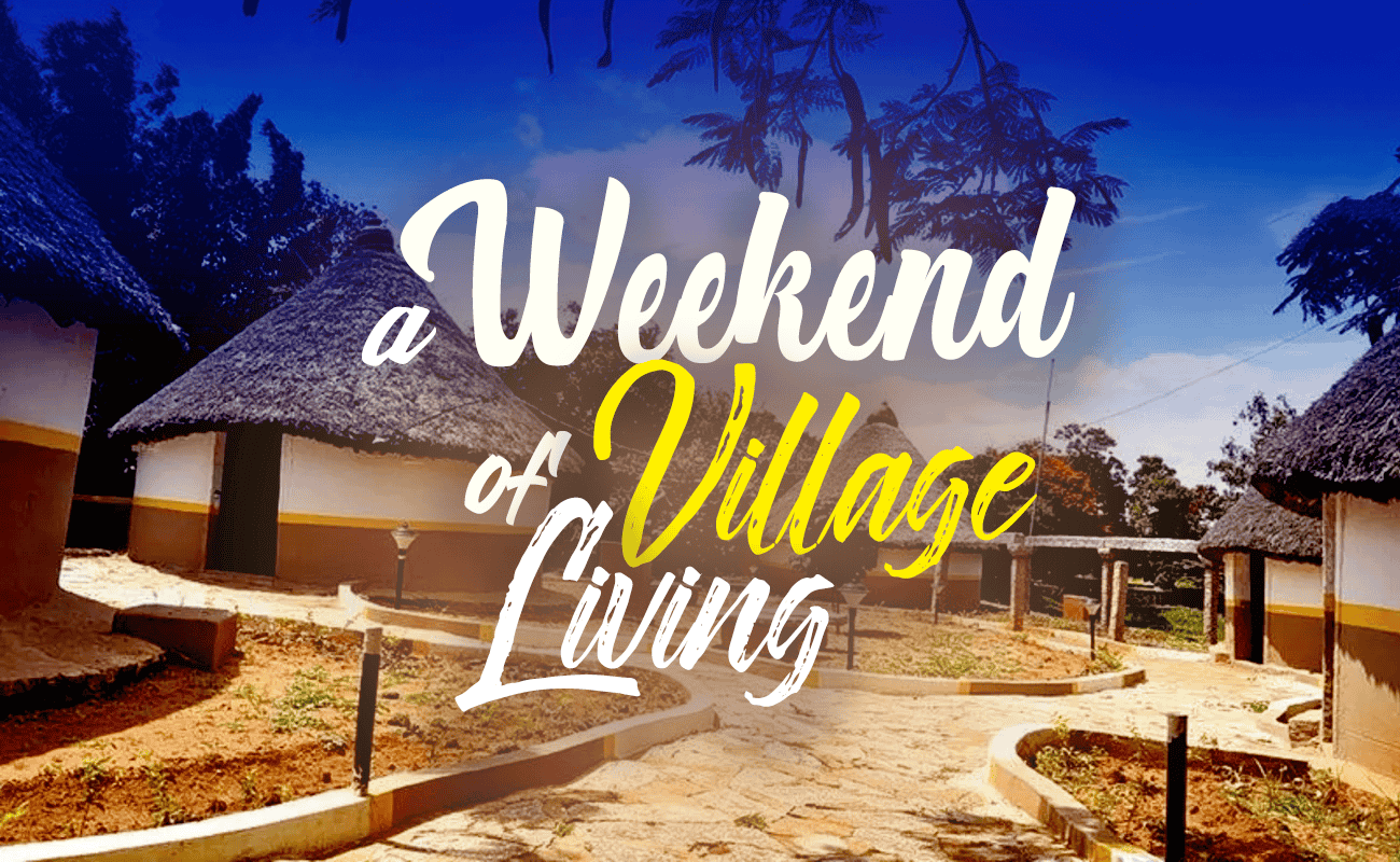 Jain Farms Bangalore Day Out, Flat 15% off