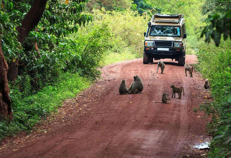 Dandeli Jungle Safari I Book Online & Get Flat 20% Off