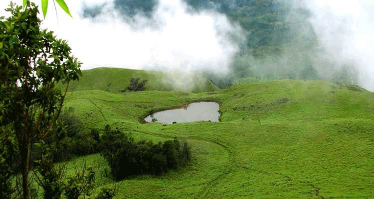 Chembra Peak Trek, Wayanad | Book Online & Save 15%