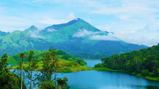 Wayanad