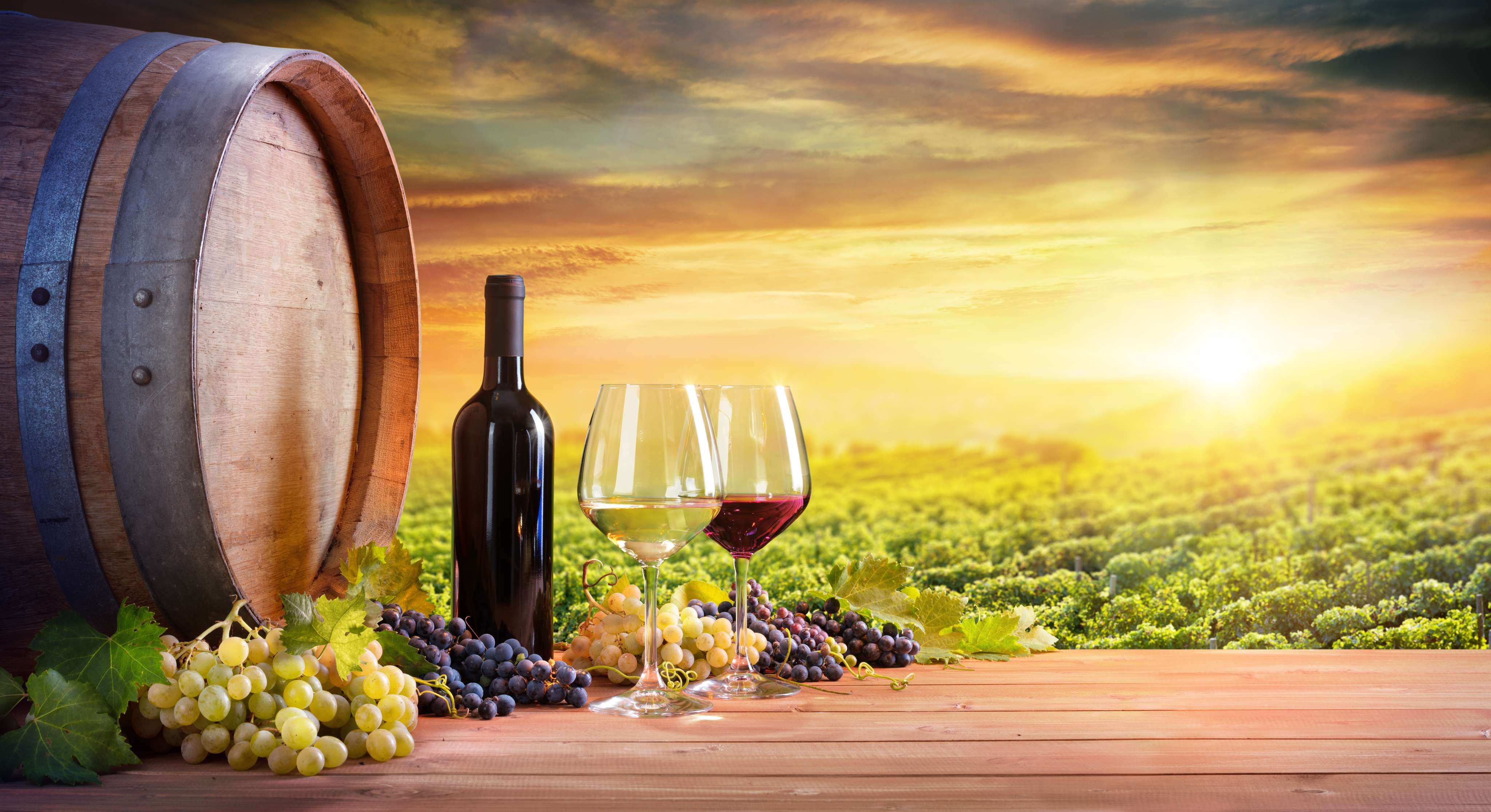 Wine Tour in Bangalore: Flat 10% off