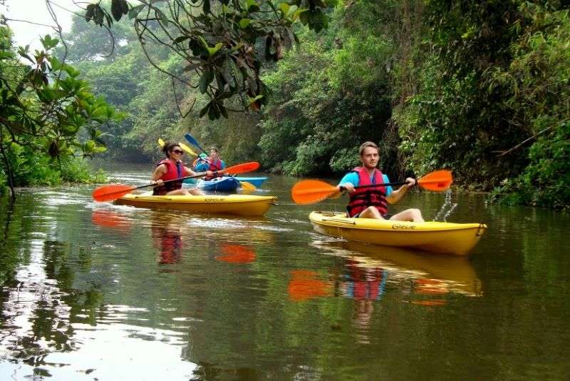 Sal River Backwater Kayaking, Goa