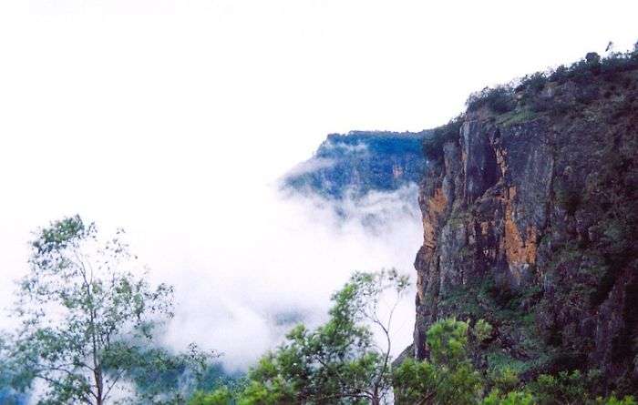 Guided Trek to Pillar Rocks,Kodaikanal