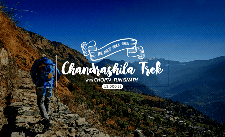 Chandrashila Trek with Chopta Tungnath, Uttarakhand @ 29% off