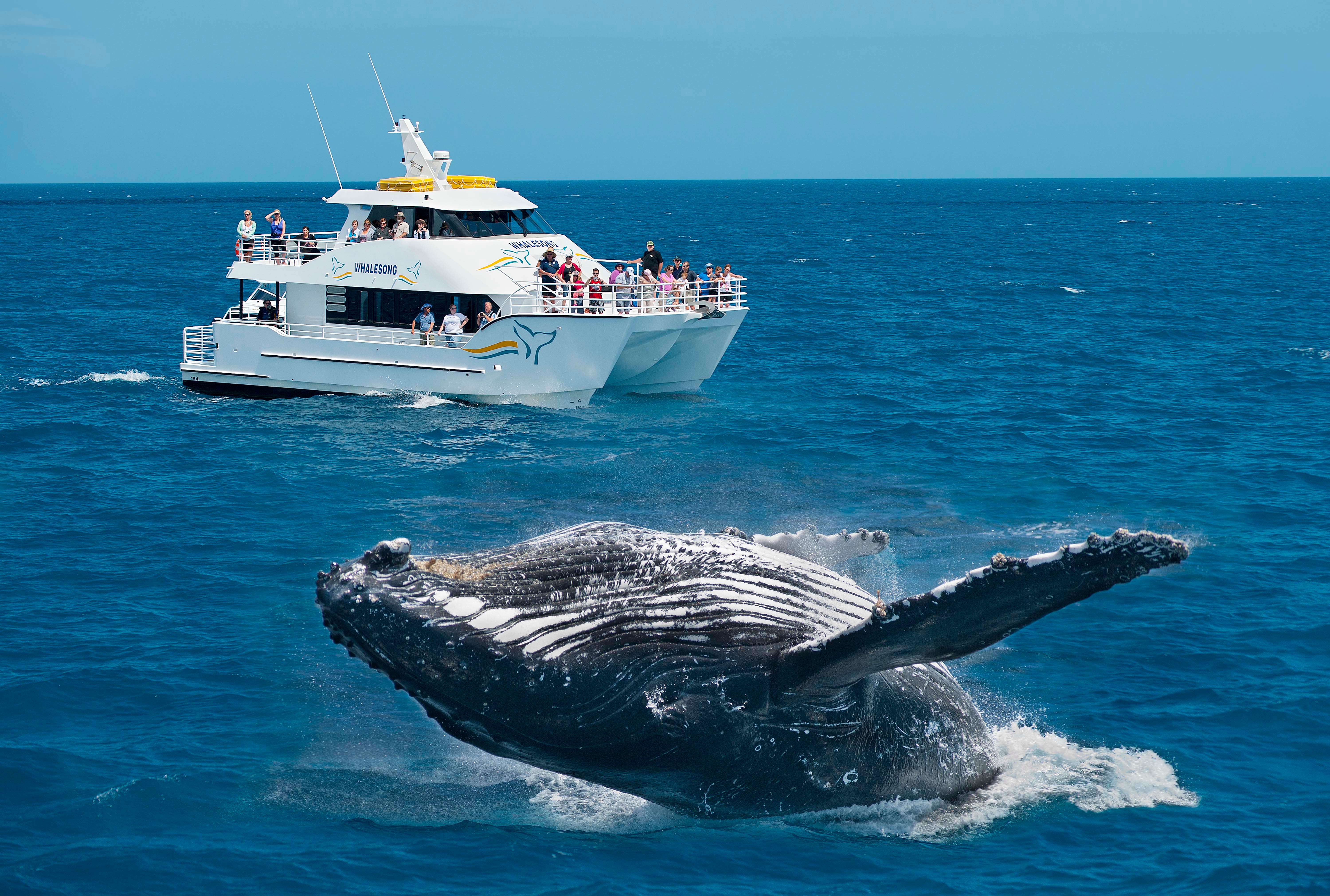 55 Things To Do In Sri Lanka, {{year}} | Get UPTO 30% Off