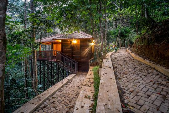 50 Homestays in Wayanad, Book Now & Get Upto 50% Off