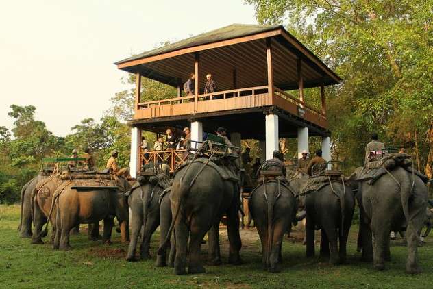 Kaziranga, The Enriched Wildlife Tour