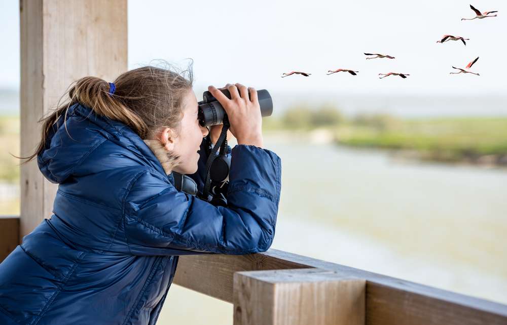 Bhigwan Bird Watching | Book Online @ ₹990 Only!