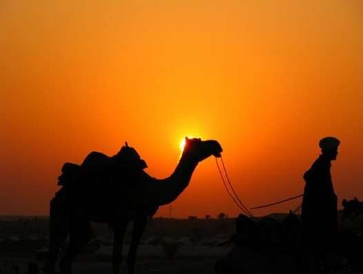 Royal Rajasthan Tour Package from Jaipur