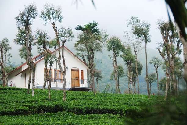 Wayanad Tea Plantation Stay, Book Now @ Flat 24% off