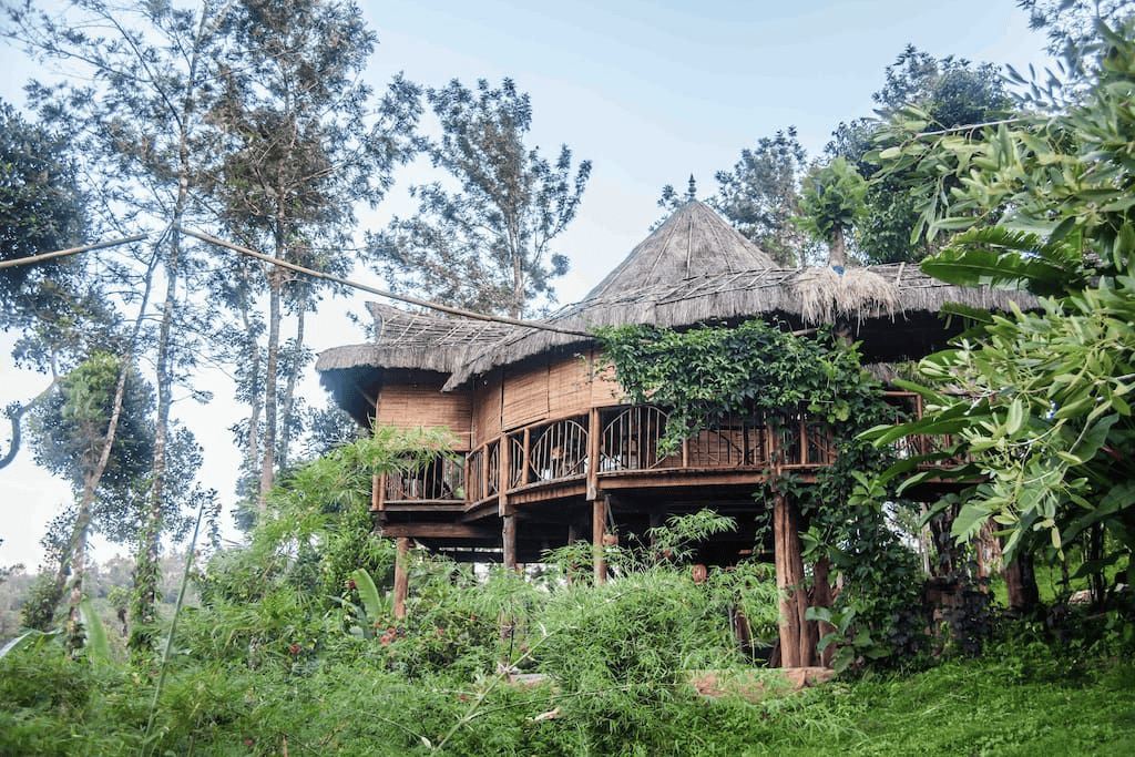 Offbeat Estate Stay near Karada, Coorg | Book & Get 14% off