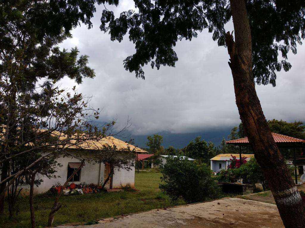 Nature Stay Experience In Masinagudi