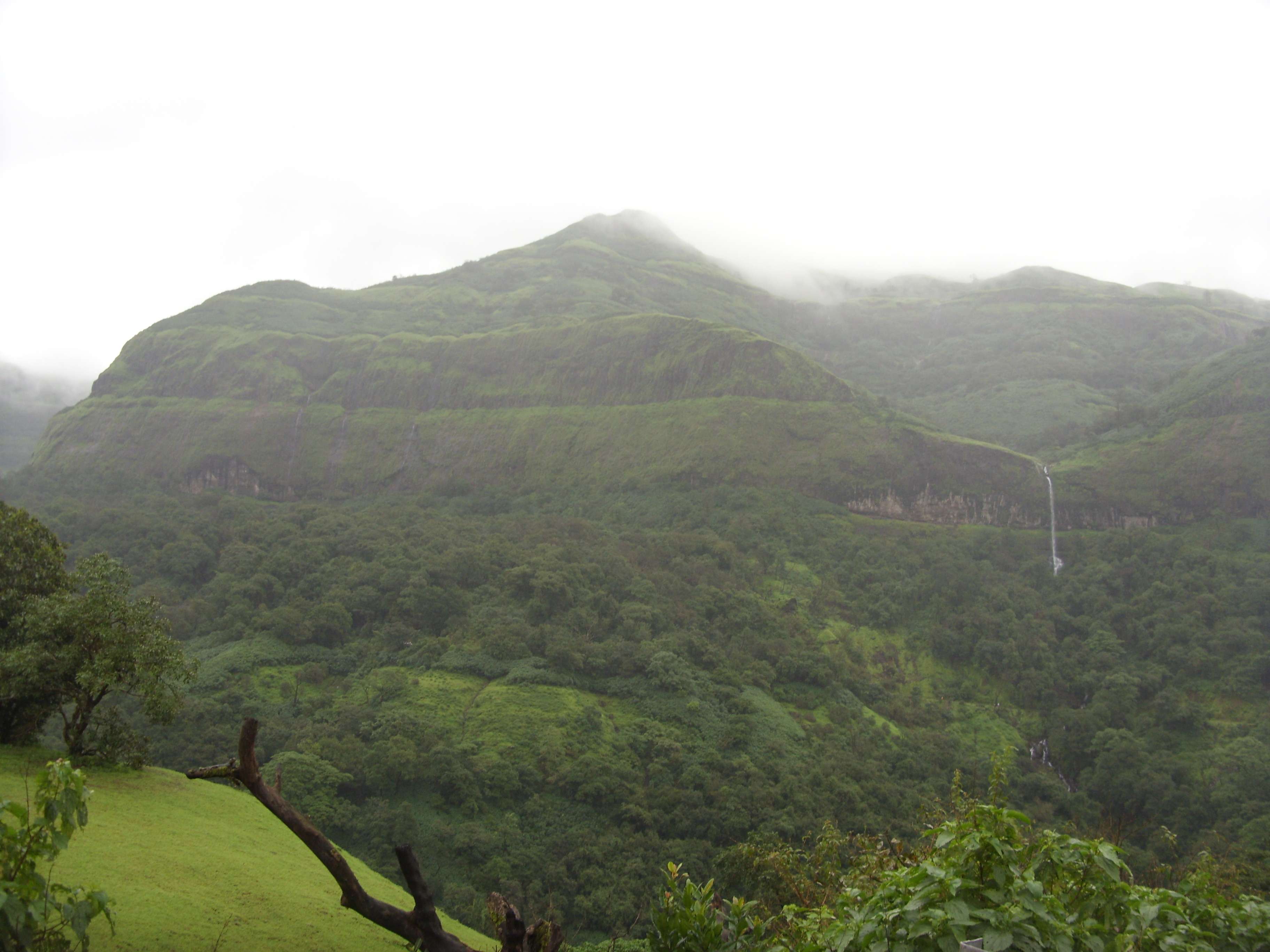 Tamhini Ghat Trek | Book Trek to Tamhini Ghat & Save 18%