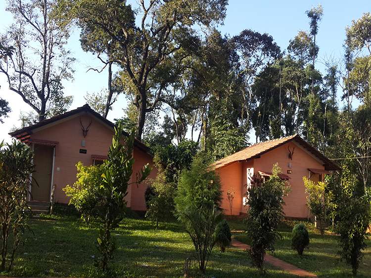 Coffee Estate Stay In Coorg