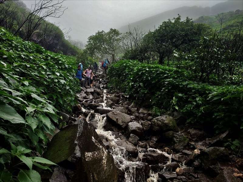 Visapur Fort Trek, Book Now @ 22% off & Get 800 Cashback