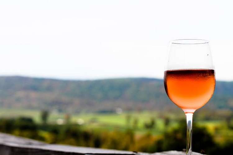 Nashik Vineyard Stay with Wine Tour | Flat 25% off