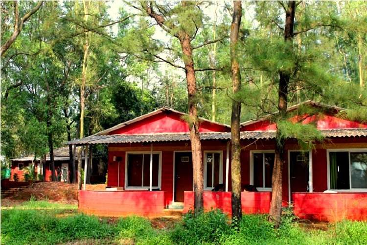 Jungle Resort Amba | Book @ 20% off & Get 3000 Cashback