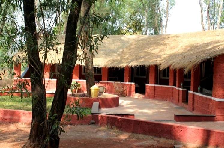 Safari and Stay at Jungle Resort Amba