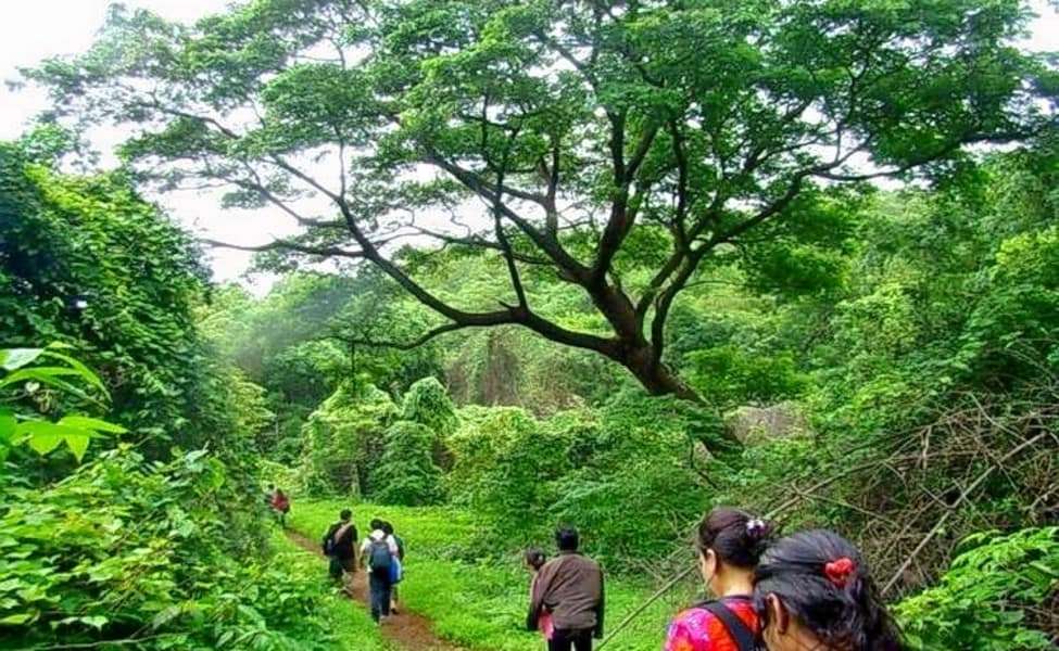 Glenmorgan Trek, Ooty I Book Online & Get Flat 20% Off