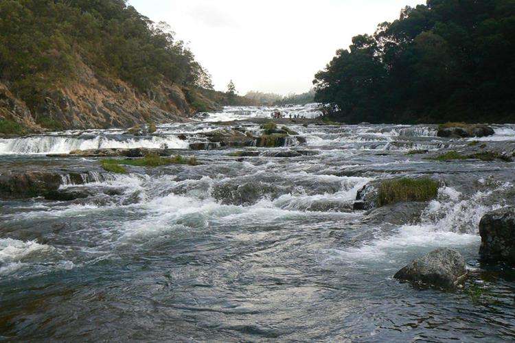 Pykara Sightseeing Tour, Ooty