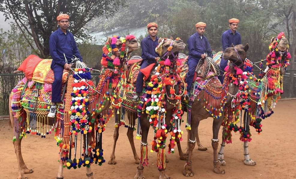 Pratapgarh Farms Jhajjar Day Out, Flat 14% off