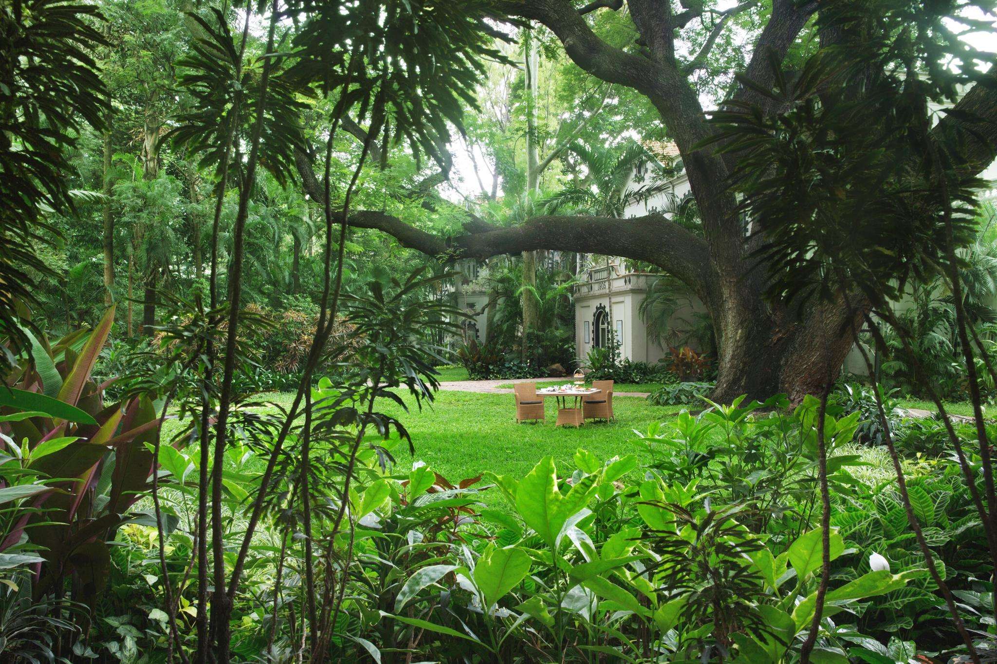Romantic Breakfast Under Raintree at Taj Westend, Bangalore