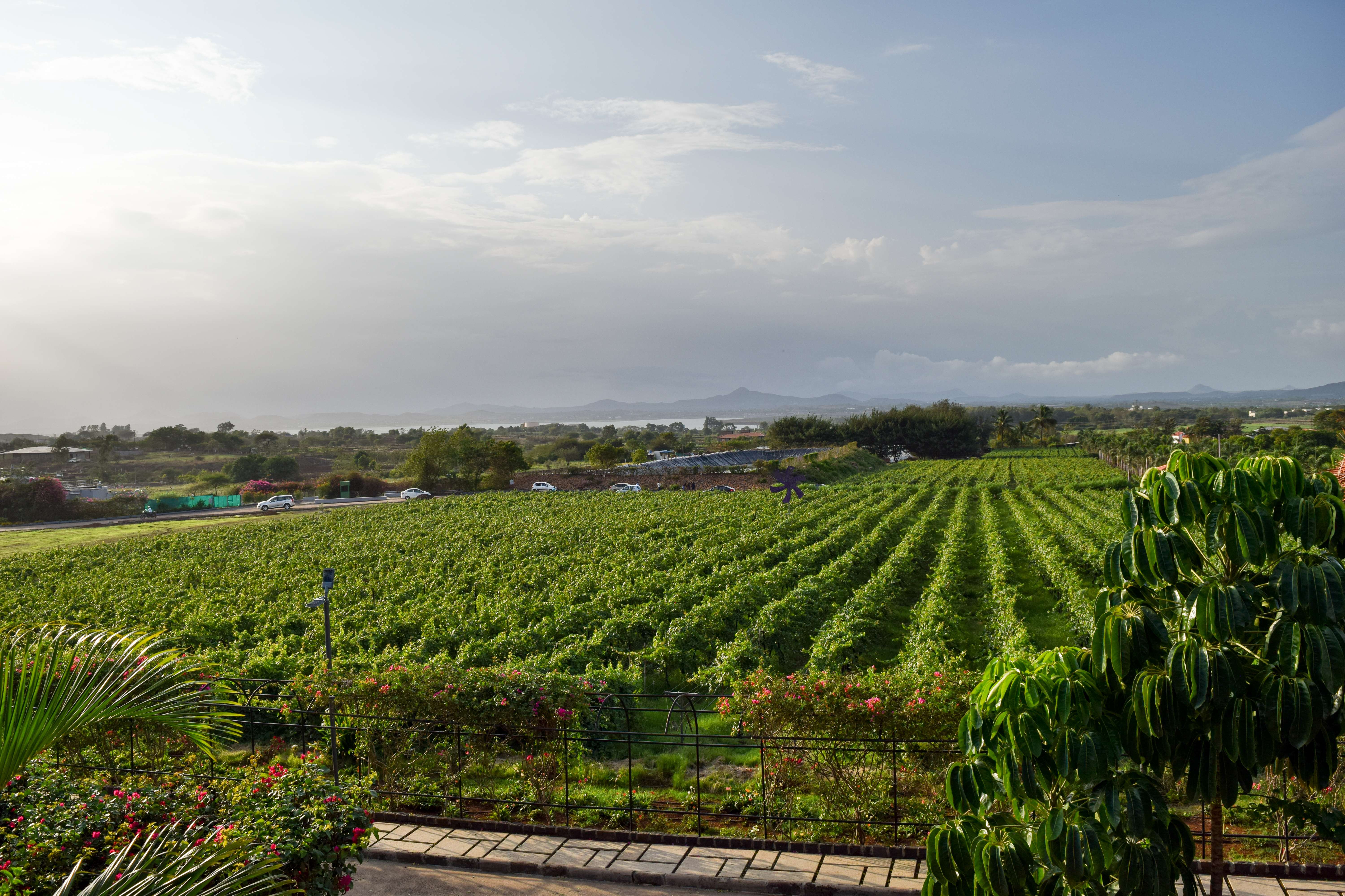 Nashik (212 km from Pune)