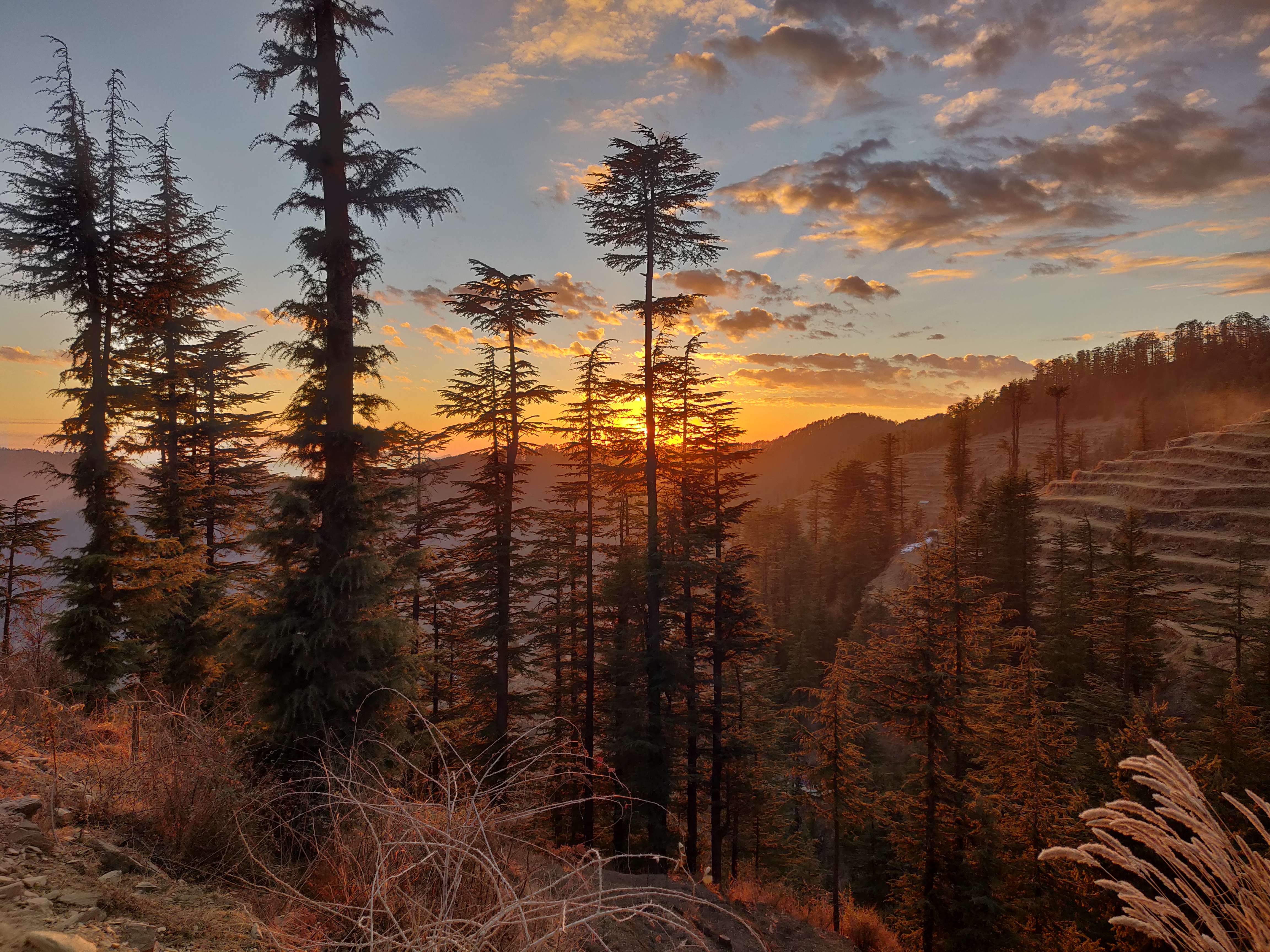 Kufri: The Snow Queen