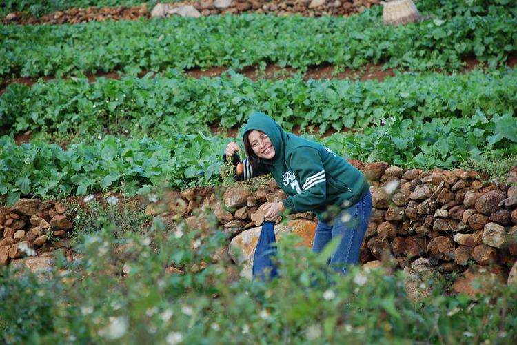 Backpacking Tour to Bellikkal Estate, Hullathy Village