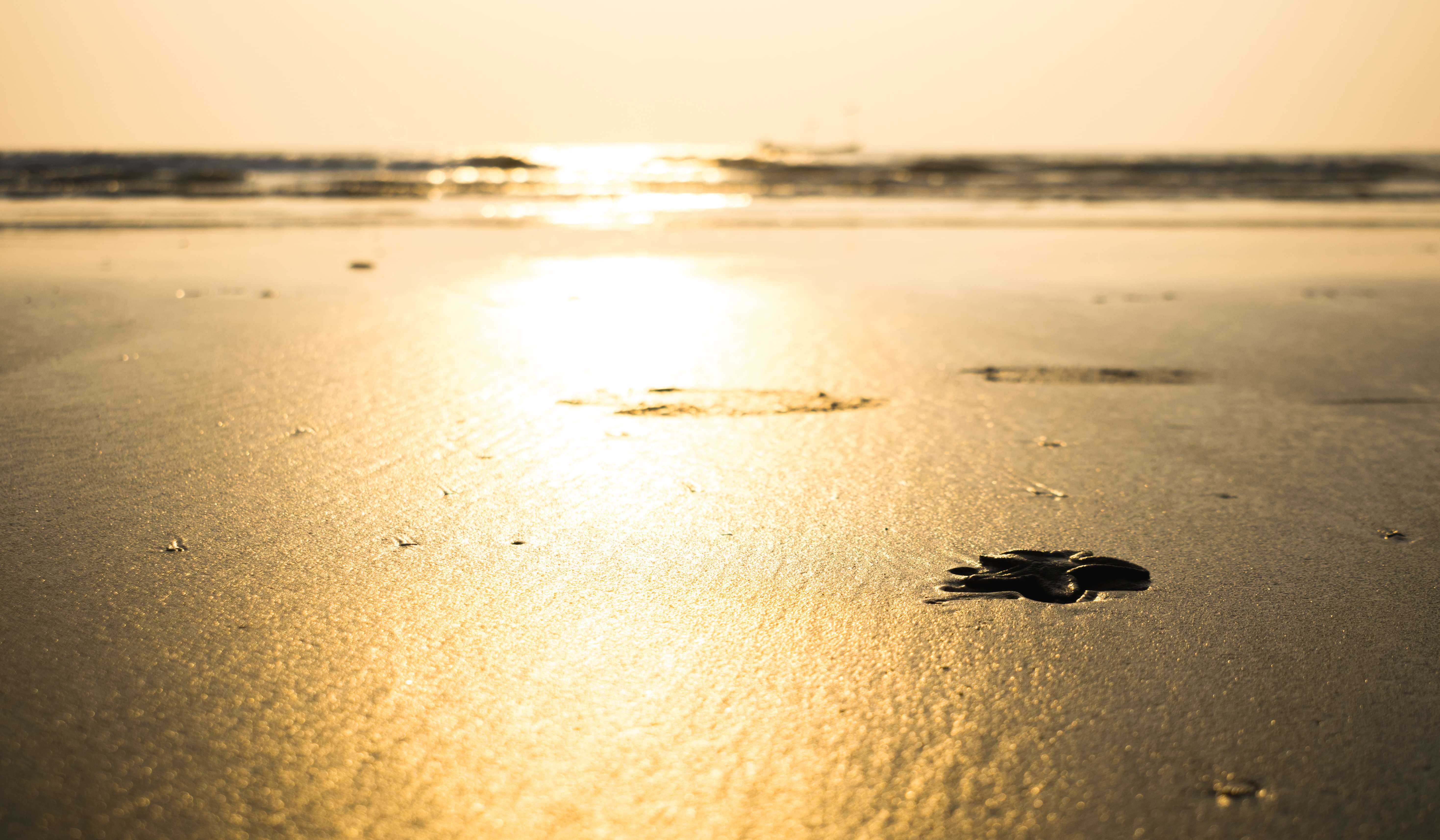 15 Beaches in Tarkarli: {{year}} (With Location & Best Time)