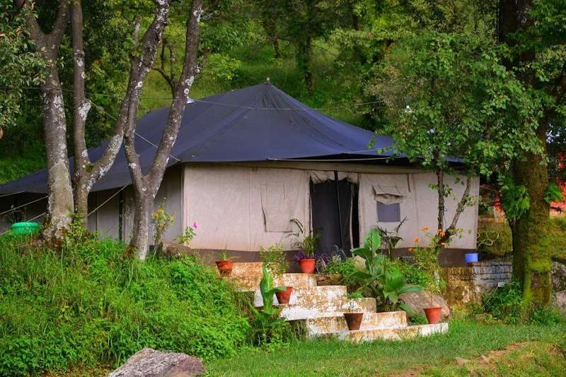 Breathtaking Camping Experience with Activities in Dharamshala