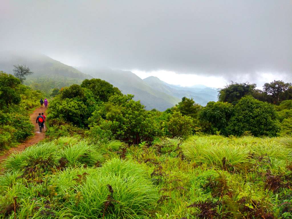 Tadiandamol Trek- 269 km from Bangalore