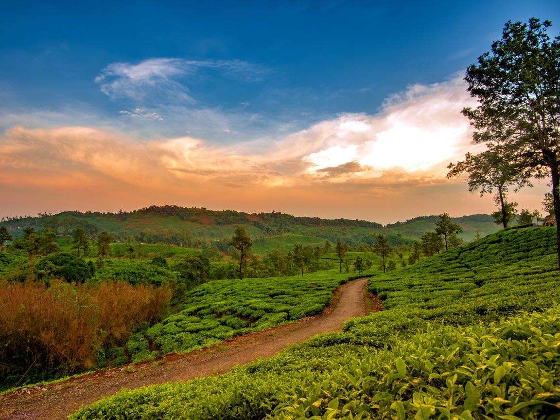 Sakleshpur- 221 km from Bangalore