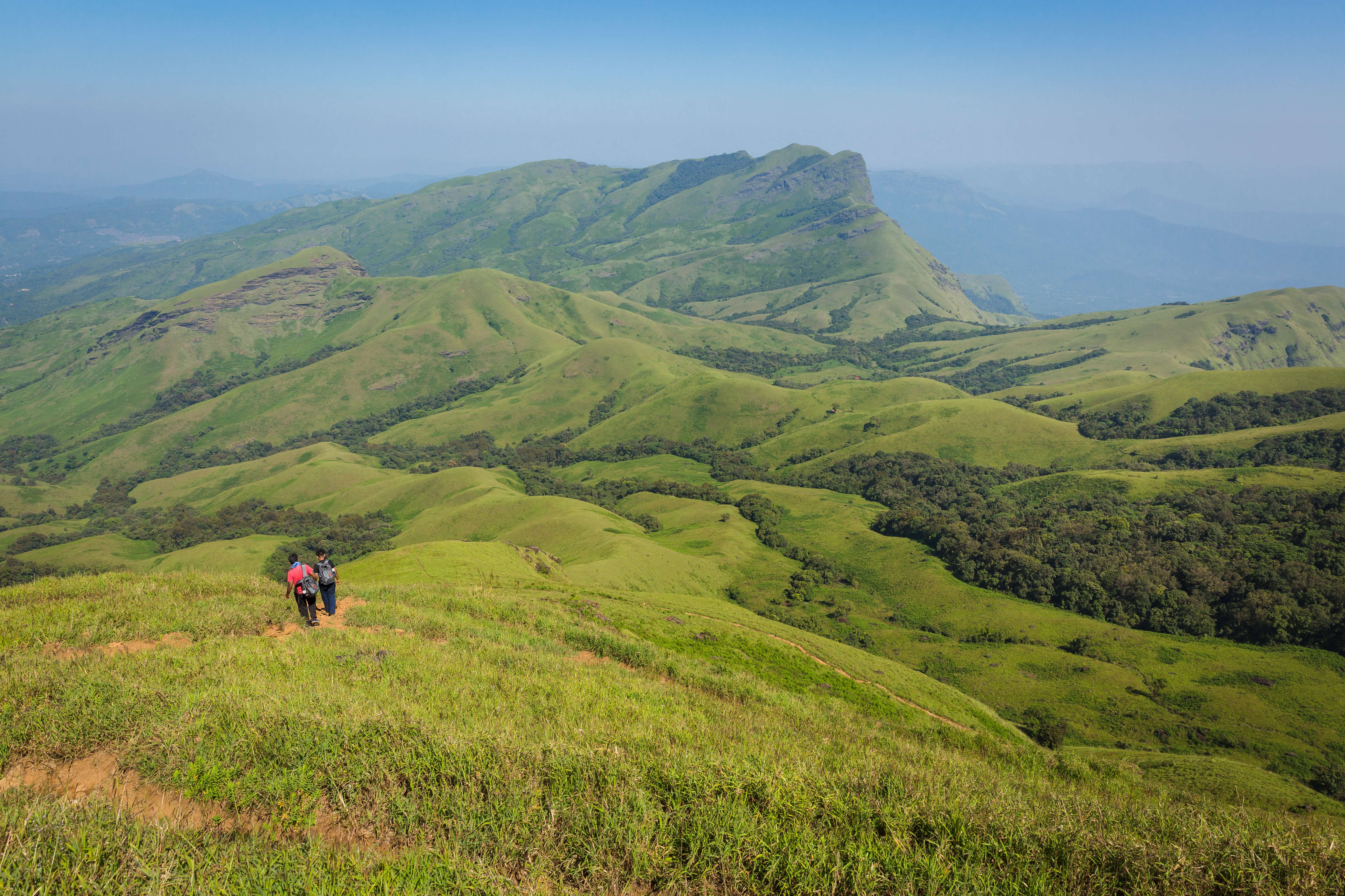 Chikmagalur- 245 km from Bangalore