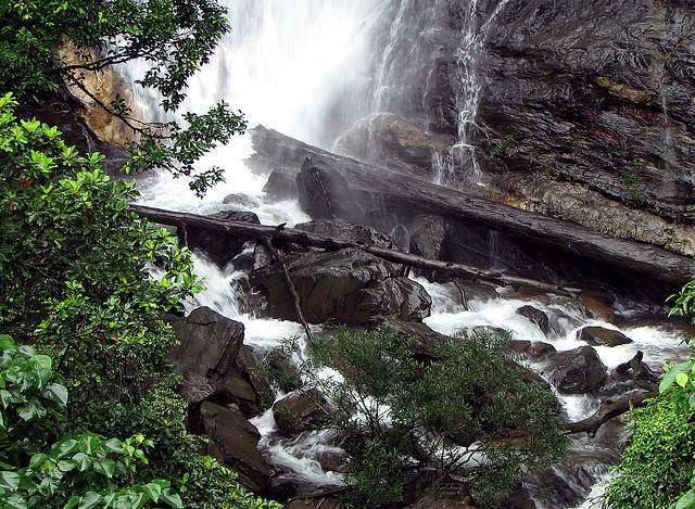 Kadambi Falls