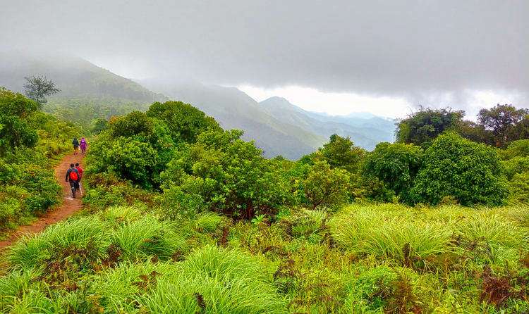 Tadiandamol (269 Km from Bangalore)
