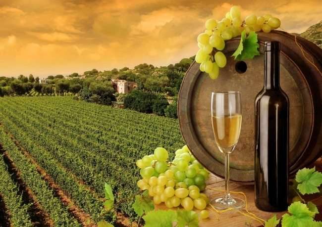 Wine Tour in Ramanagara (55 Km from Bangalore)