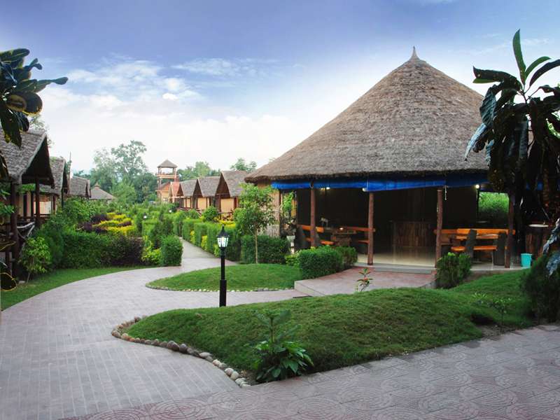 Machaan Resort