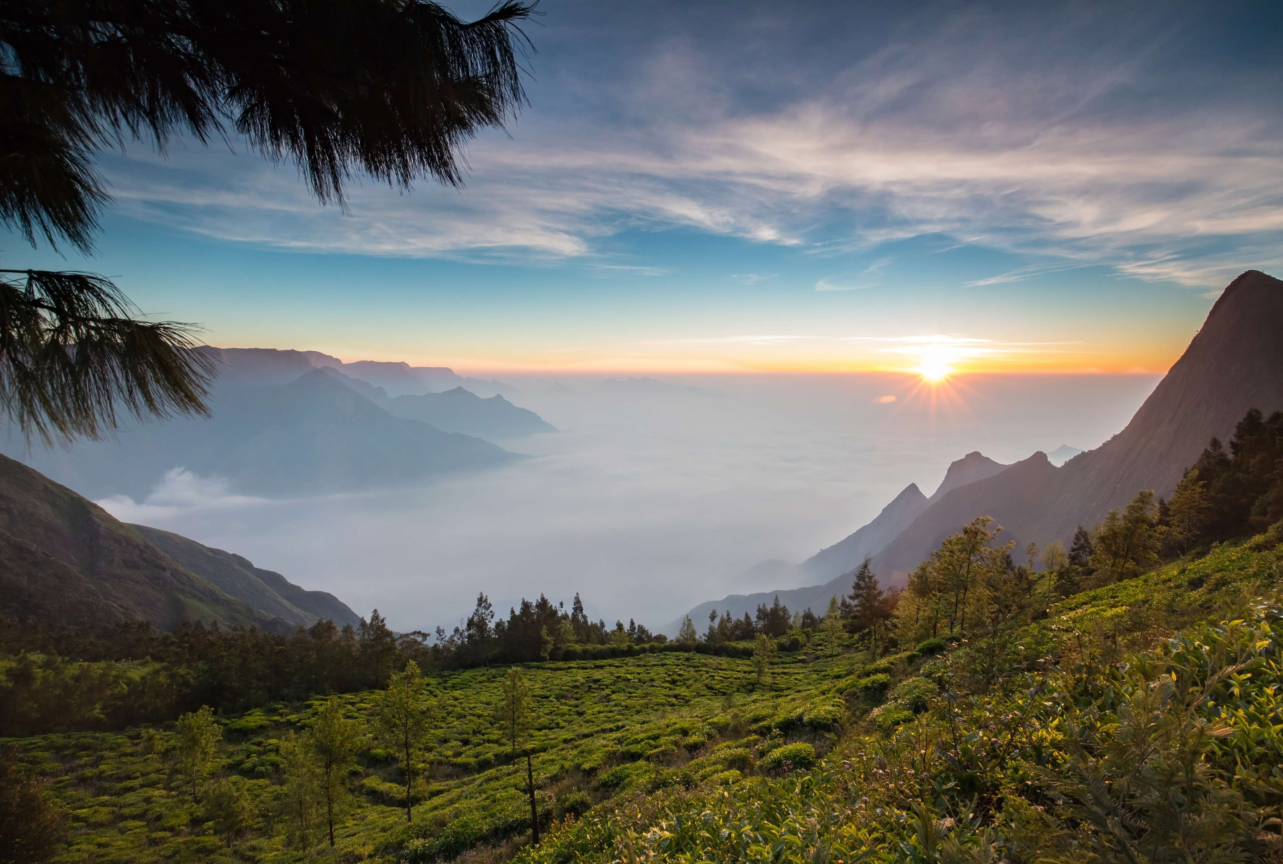 35 Places to Visit Near Chennai - {{year}} (Updated With Distance)