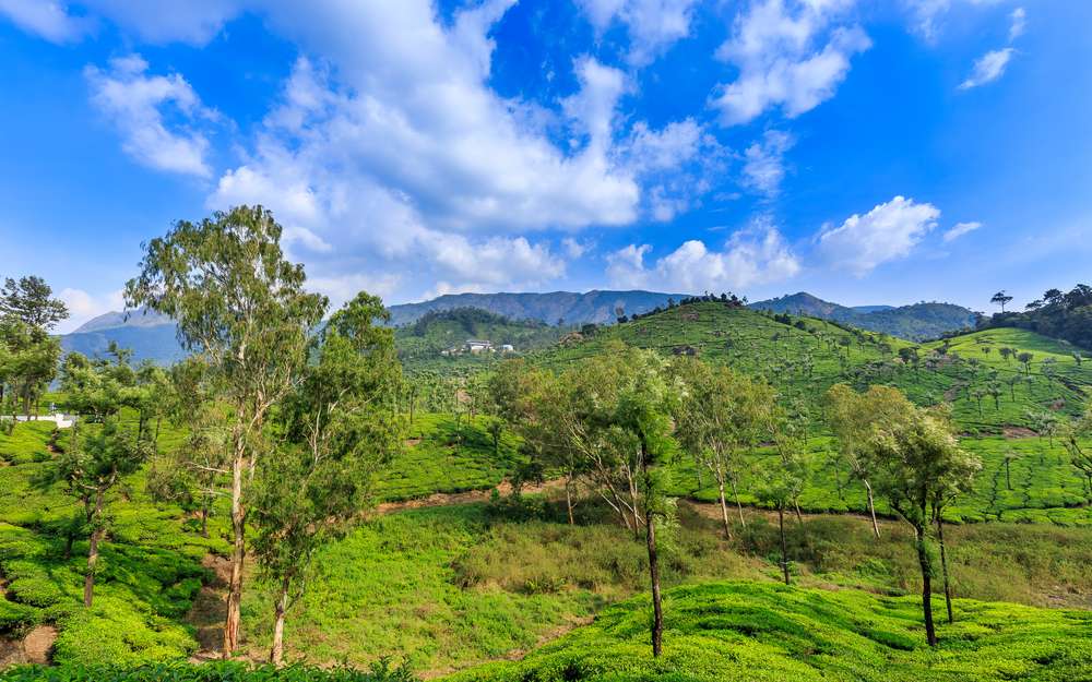 Valparai - 573 kms from Chennai