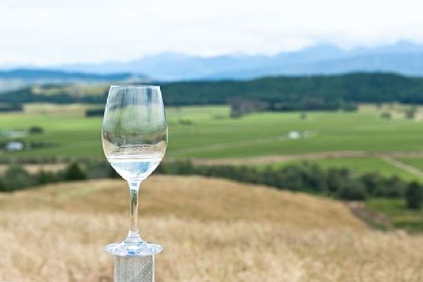 Soma Vine Village Resort, Nashik