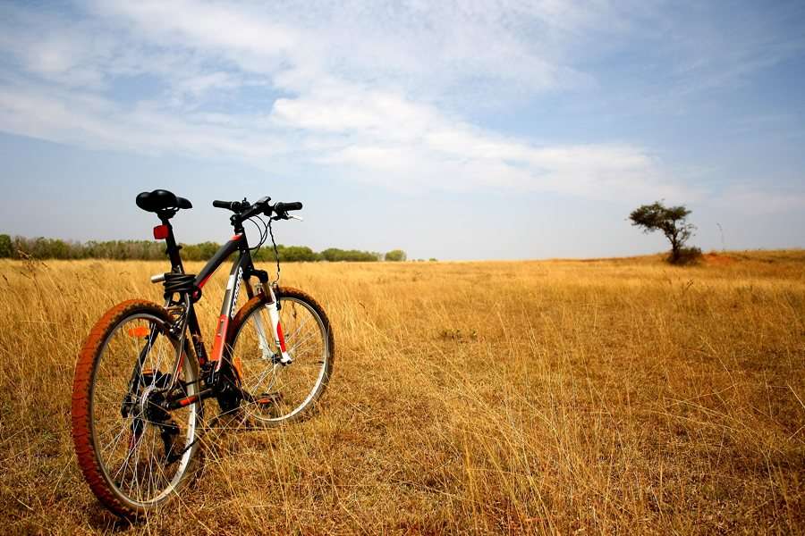 Hesaraghatta - 33 km from Bangalore